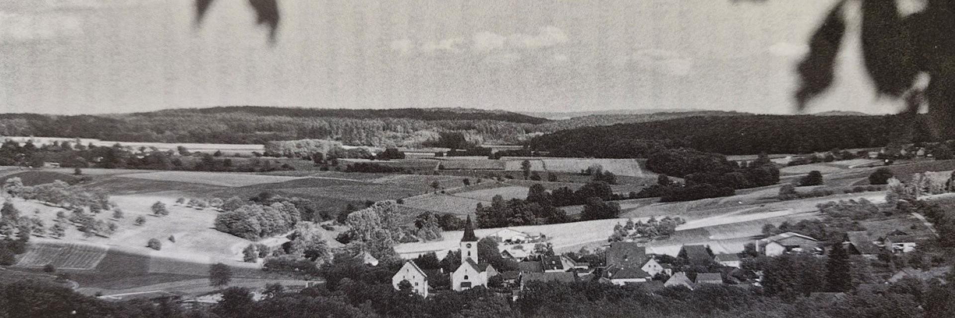 Historisches Schwarz-Weiß-Bild eines Panoramas von Dettighofen in der ländlichen Landschaft.